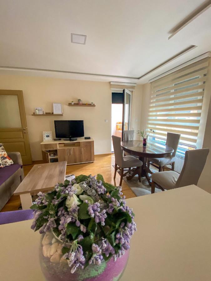Apartman Bozur 兹拉蒂博尔 外观 照片
