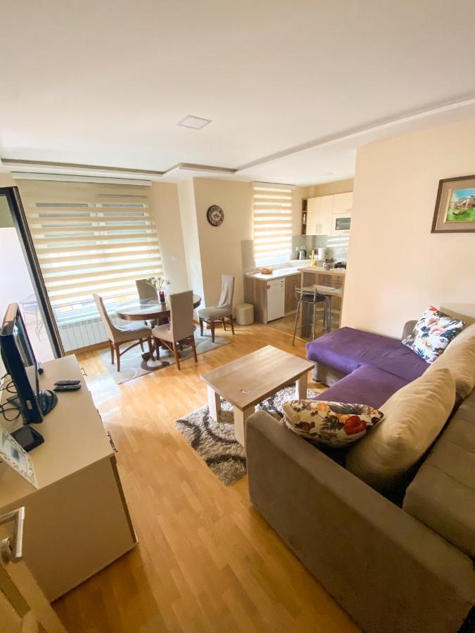 Apartman Bozur 兹拉蒂博尔 外观 照片