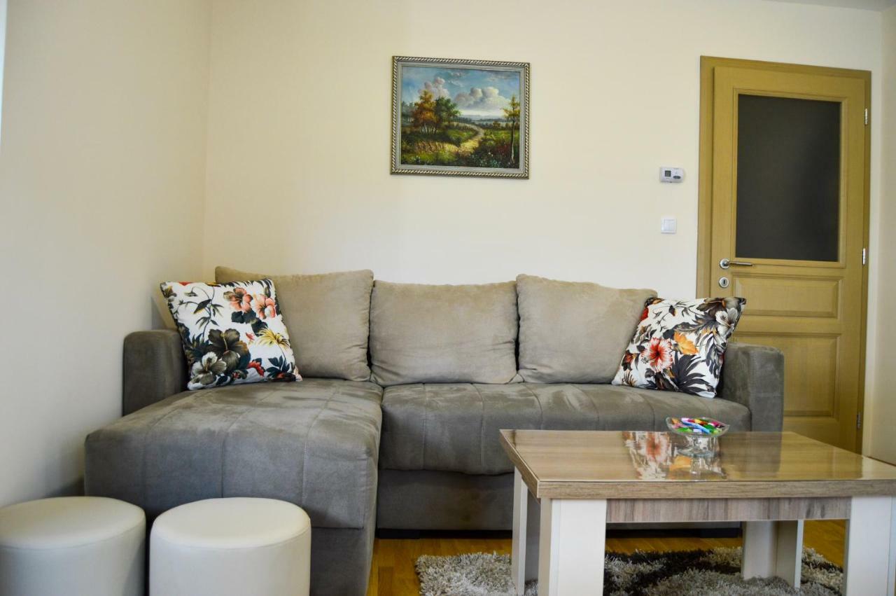 Apartman Bozur 兹拉蒂博尔 外观 照片