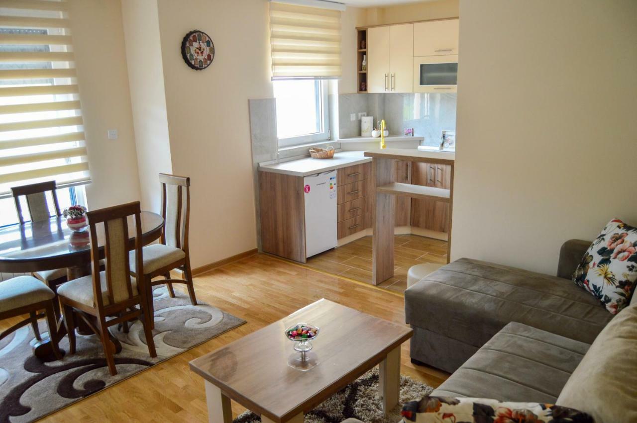 Apartman Bozur 兹拉蒂博尔 外观 照片